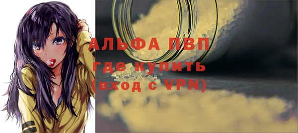 стаф Инсар
