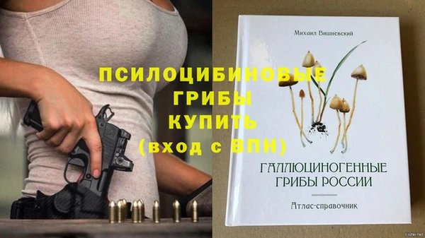 дживик Зеленодольск