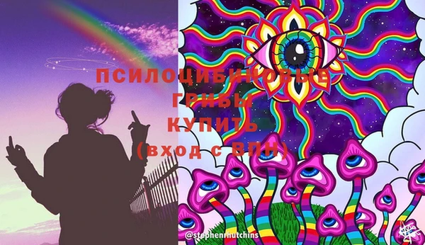 мяу мяу мука Иннополис